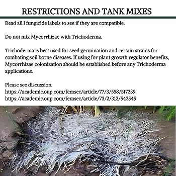 Amazon.com : MycoLife 5X Highly Concentrated Mycorrhizal
